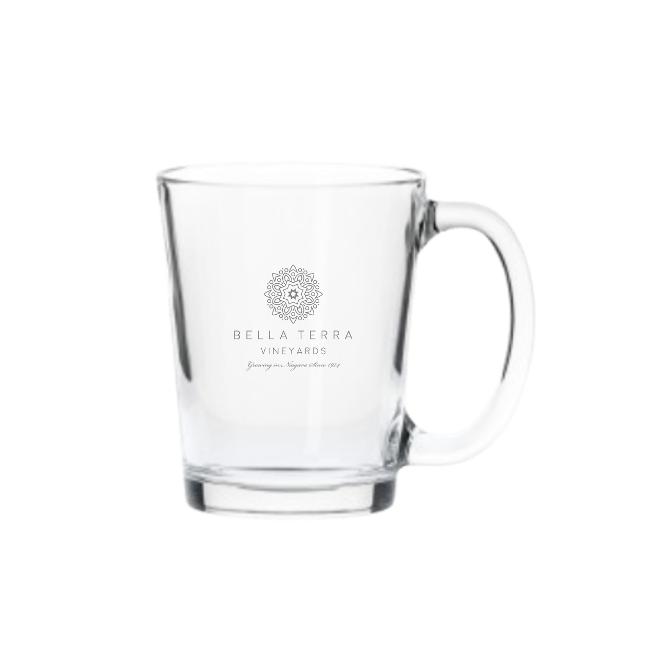 Bella Terra Glass Mugs